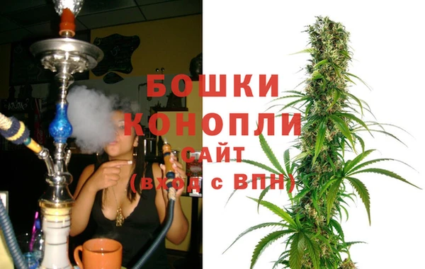 молекула духа Лихославль